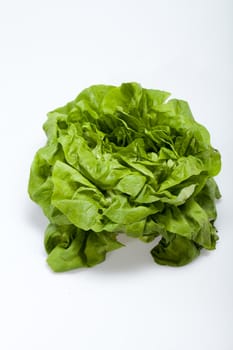 Fresh green Lettuce salad isolated on white background 
