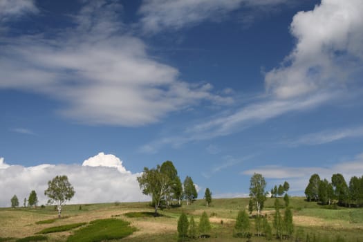 The dark blue sky, white clouds, green grass is a summer