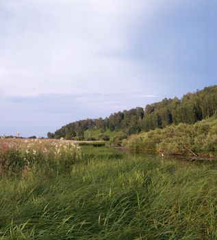 Kind on small lake in summer day