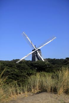 Windmill in Golden Gate Park. San Francisco