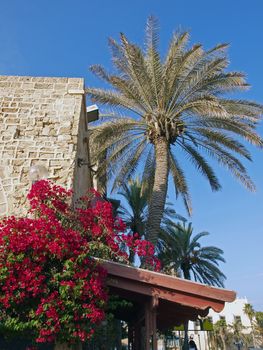 Arabic Mediterranean style stone house with garden and palm tree