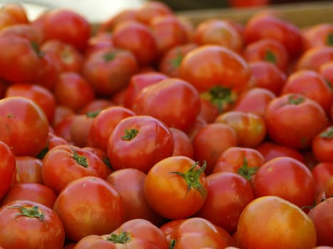 fresh tomatoes on farmers market