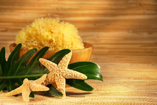 Sea sponge and wooden bowl with leaf and starfish 