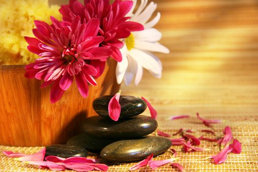  Aromatherapy with pink and white chrysanthemums,natural stones for relaxation