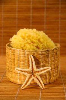 Sea sponge and starfish on bamboo mat