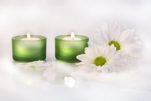 Green candles and daisies on dreamy white background