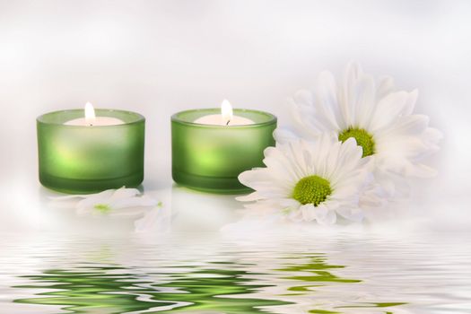 Green candles and daisies near water reflection on dreamy white background