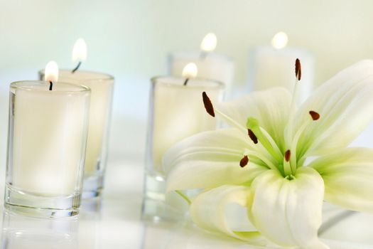 Lily flower with candle on pale background