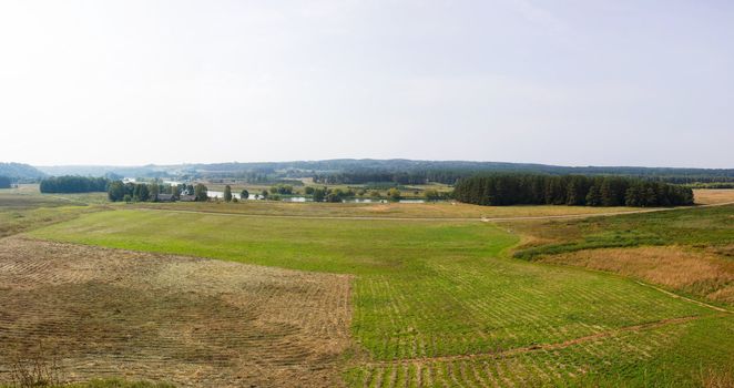 Summer landscape, panorama