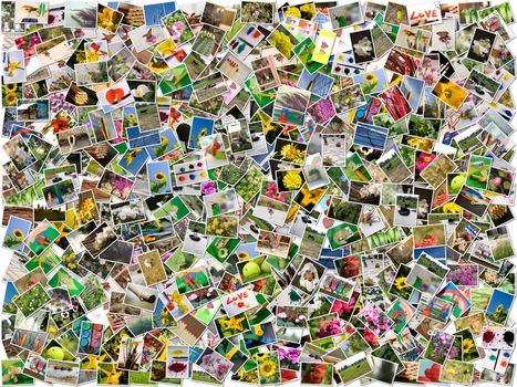 Background surface filled with a variety photos