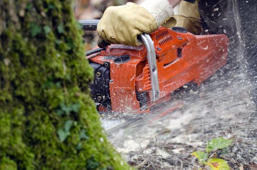 a chainsaw in action