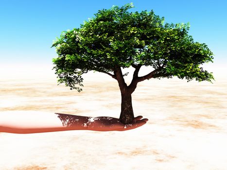 a women hand with a tree inside