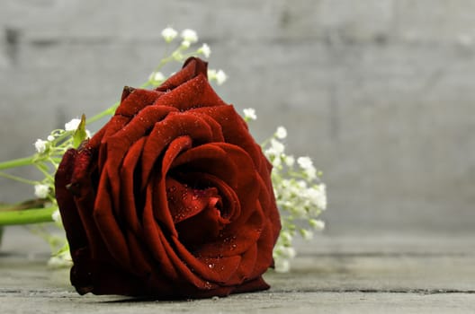 a red rose on wooden background