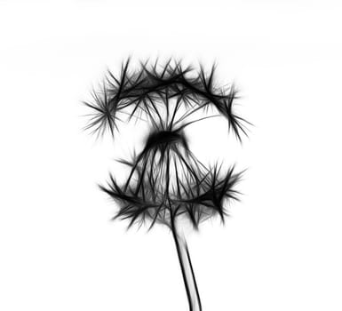 Abstract image of the dandelion with egret