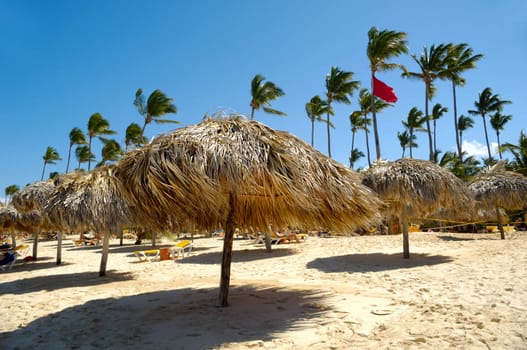 Many parasols made out of palm leafs on beach. Dominican Republic, Punta Cana.