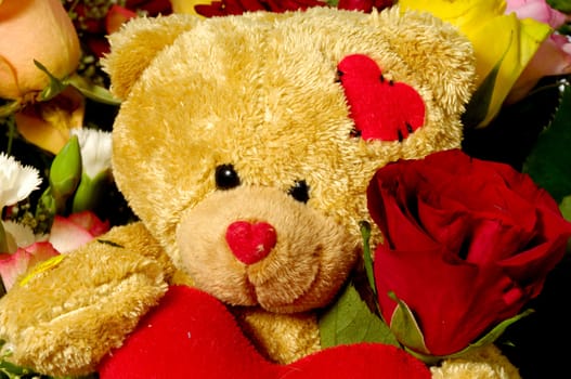 A teddy bear is sitting with a red rose.