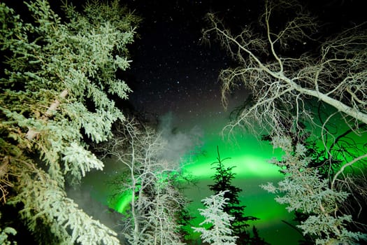 Astrophotography star trails with green glowing display of Northern Lights or Aurora borealis over boreal forest or taiga of Yukon Territory  Canada