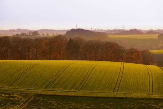 Gently rolling landscape of farmland with ploughed fields  copses of trees and shallow valleys shrouded in a fine mist in evening light near Duesseldorf  Germany  Europe