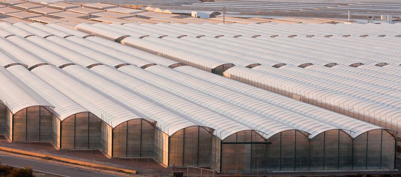 Large scale commercial greenhouse structures cover endless areas