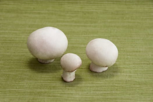 Champignons