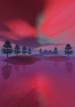 fir trees and sky pink