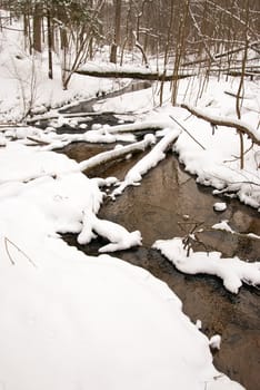 Flowing forest stream water during winter. Coast covered with snow but water not freeze.