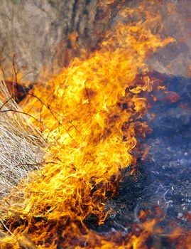 Dry grass in field burns dangerously