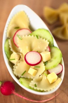 Vegetarian bow tie pasta salad with cucumber, radish, cheese and chives (Selective Focus, Focus on the lower rim of the radish in the middle and the lower rim of the cucumber on the right)