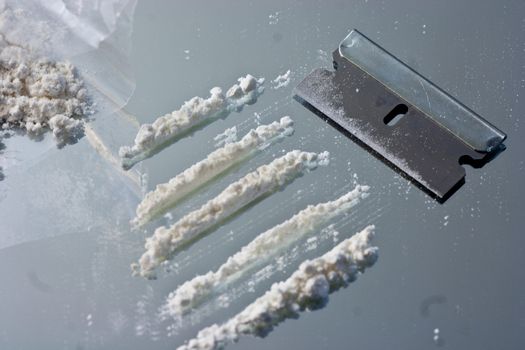 White powder drug laid out in lines ready to be snorted close up.