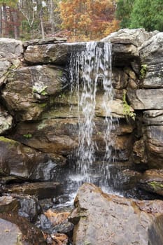 Water flowing over some rocks in the middle of a forest