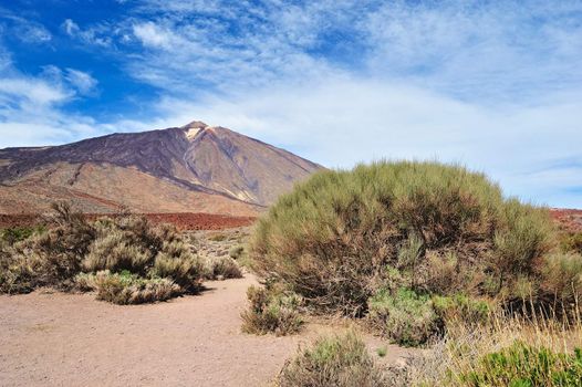 Volcano Mount Teide. Canary Islands, Spain