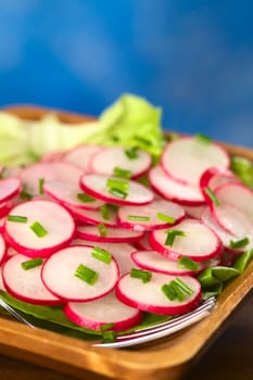 Fresh radish salad with chives served on a lettuce leaf (Selective Focus, Focus one third into the salad) 