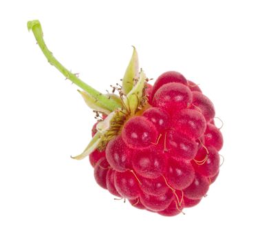 single ripe raspberry, isolated on white