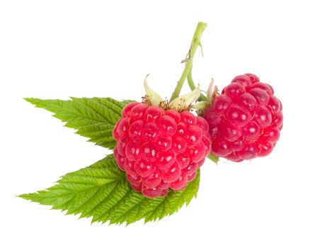branch of two ripe raspberries with leaves, isolated on white