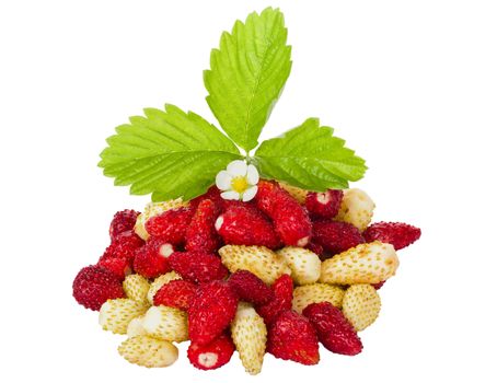 close-up wild strawberries heap with flower and leaves, isolated on white