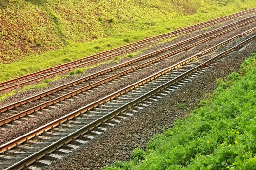 Rail lines in the hollow a bright sunny spring day. Roadside covered with vivid young grass and wild flowers