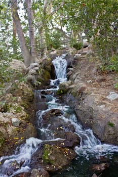 A cascading mountain stream