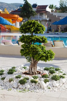 Swimming pool at the modern luxury hotel