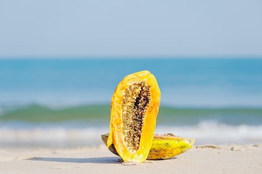 Tropical papaya on the sandy beach near sea