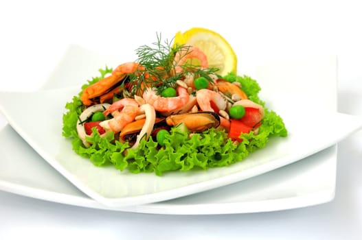 Seafood salad with vegetables on a white background