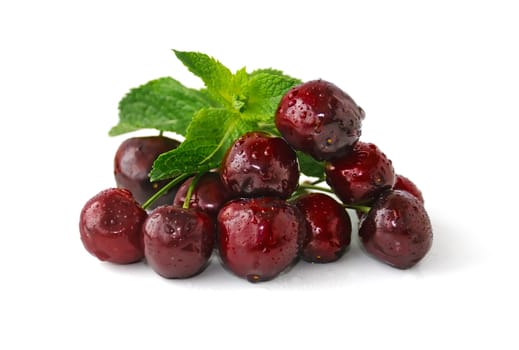 A handful of fresh cherries in water droplets on a white background