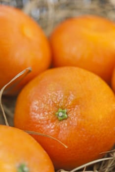Close up of orange mandarins, straw background