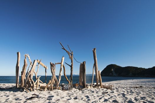 A sculpture of sticks on the beach, New Zeeland