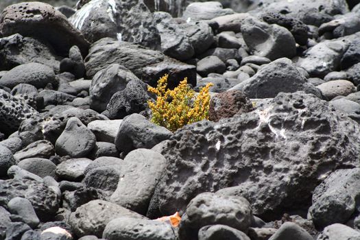 Landscape image from the isle of Lanzarote, Canarias.