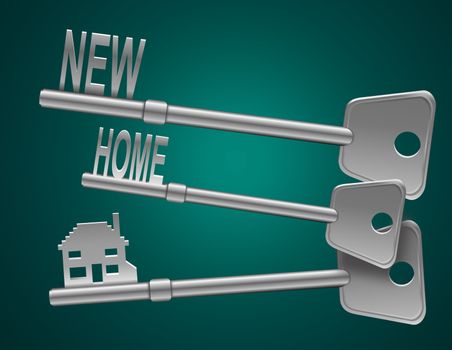 Illustration depicting two keys with a 'home' concept. Aqua blue background.