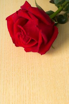 Red rose at top on wood table background