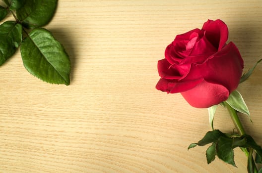 Red rose side on wood and green leaves on wood table