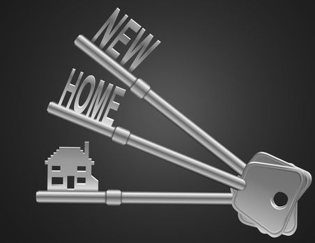 Illustration depicting two keys with a 'home' concept. Dark background.