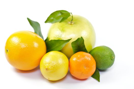 Citron mix from orange, lemon, pummel, lime and tangerine