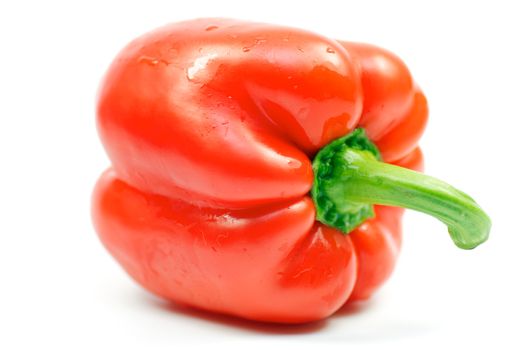 Red Bell Pepper on white background